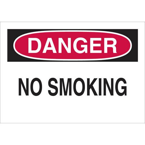 Brady 116139 Eco - Friendly Danger Sign MTESolutions