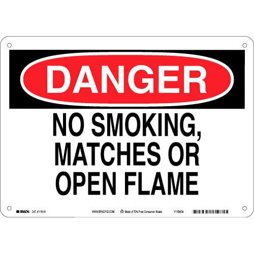 Brady 116141 Eco - Friendly Danger Sign MTESolutions