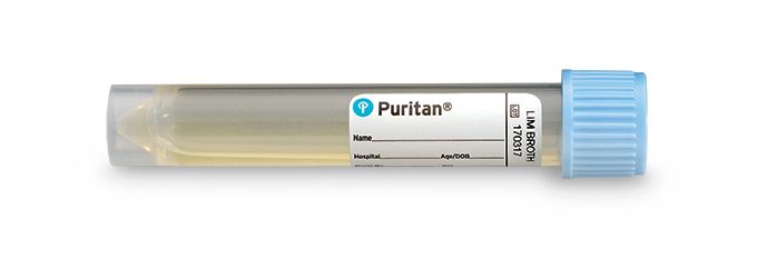 Puritan LB - 500 Puritan Lim Broth Transport Medium, 5mL, No Swab, Light Blue Cap MTESolutions
