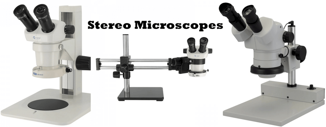 The Stereo Microscope in Forensic Applications - MTESolutions
