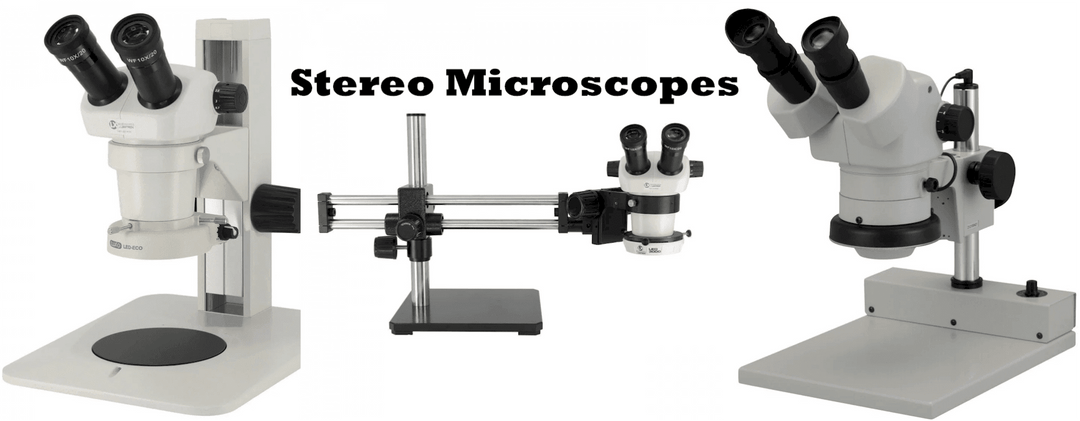 The Stereo Microscope in Forensic Applications - MTESolutions