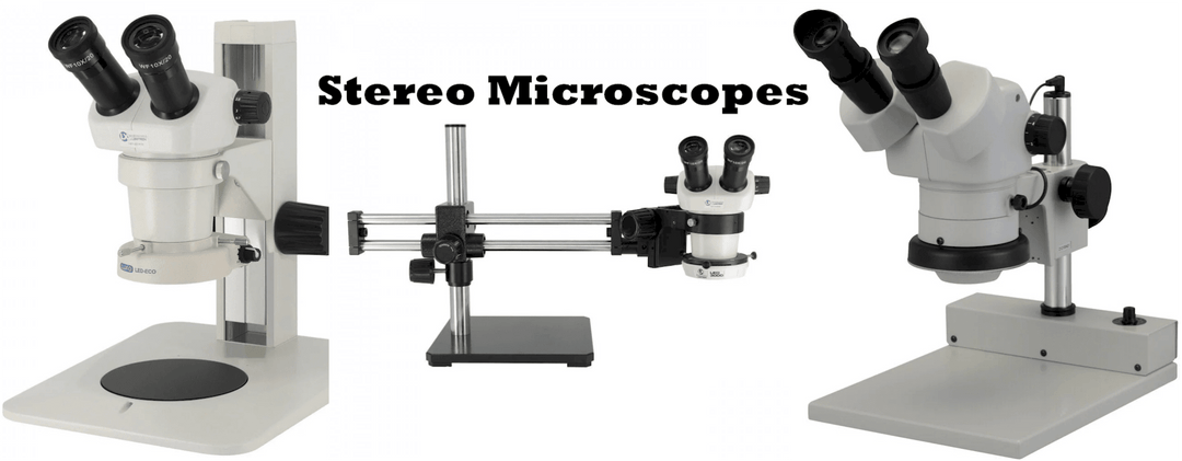 The Stereo Microscope in Forensic Applications - MTESolutions