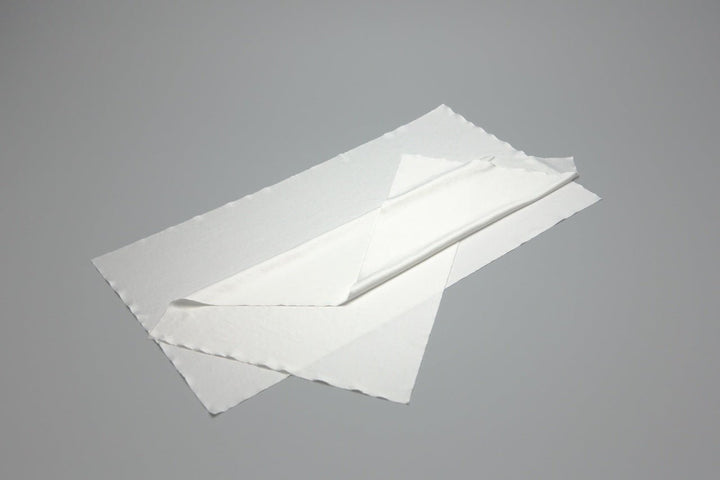 Berkshire Micropolx 2750 Ergo Mop Covers, 10" x 18", Qty 500 Covers - Item Number MPX2750101810 MTESolutions