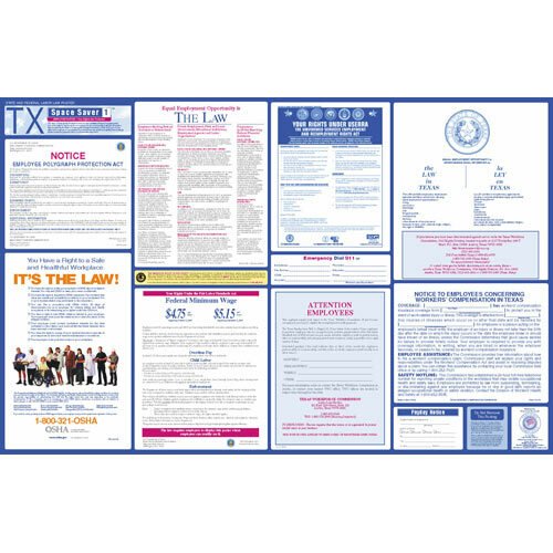 Brady 106408 Texas State & Federal Labor Law Poster MTESolutions