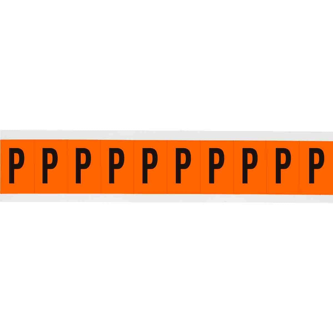 Brady 6570 - P APWA Outdoor Utility Numbers & Letters, 2 in, Letter P MTESolutions