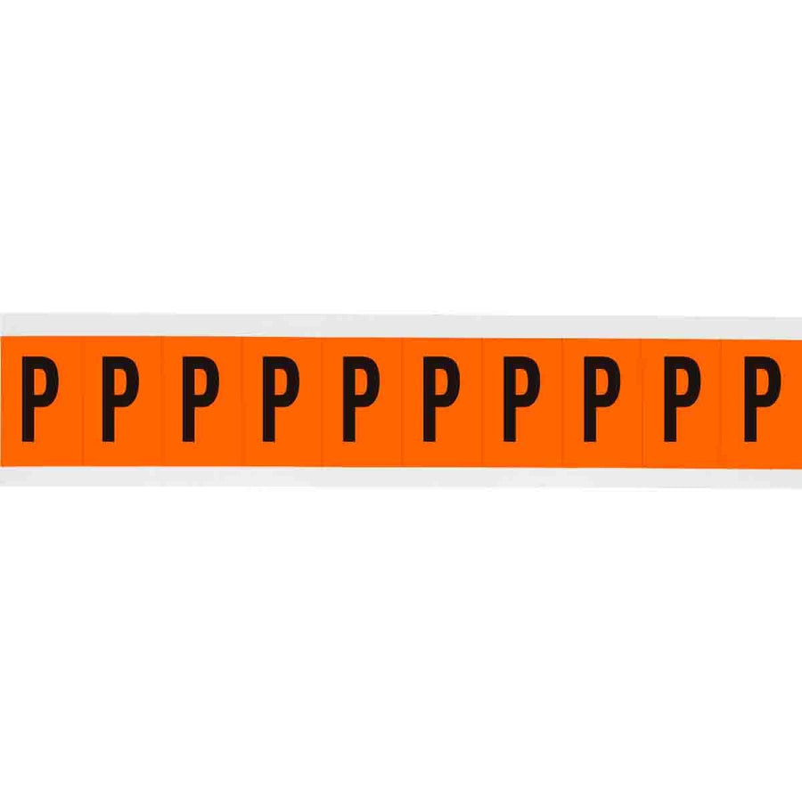 Brady 6570 - P APWA Outdoor Utility Numbers & Letters, 2 in, Letter P MTESolutions