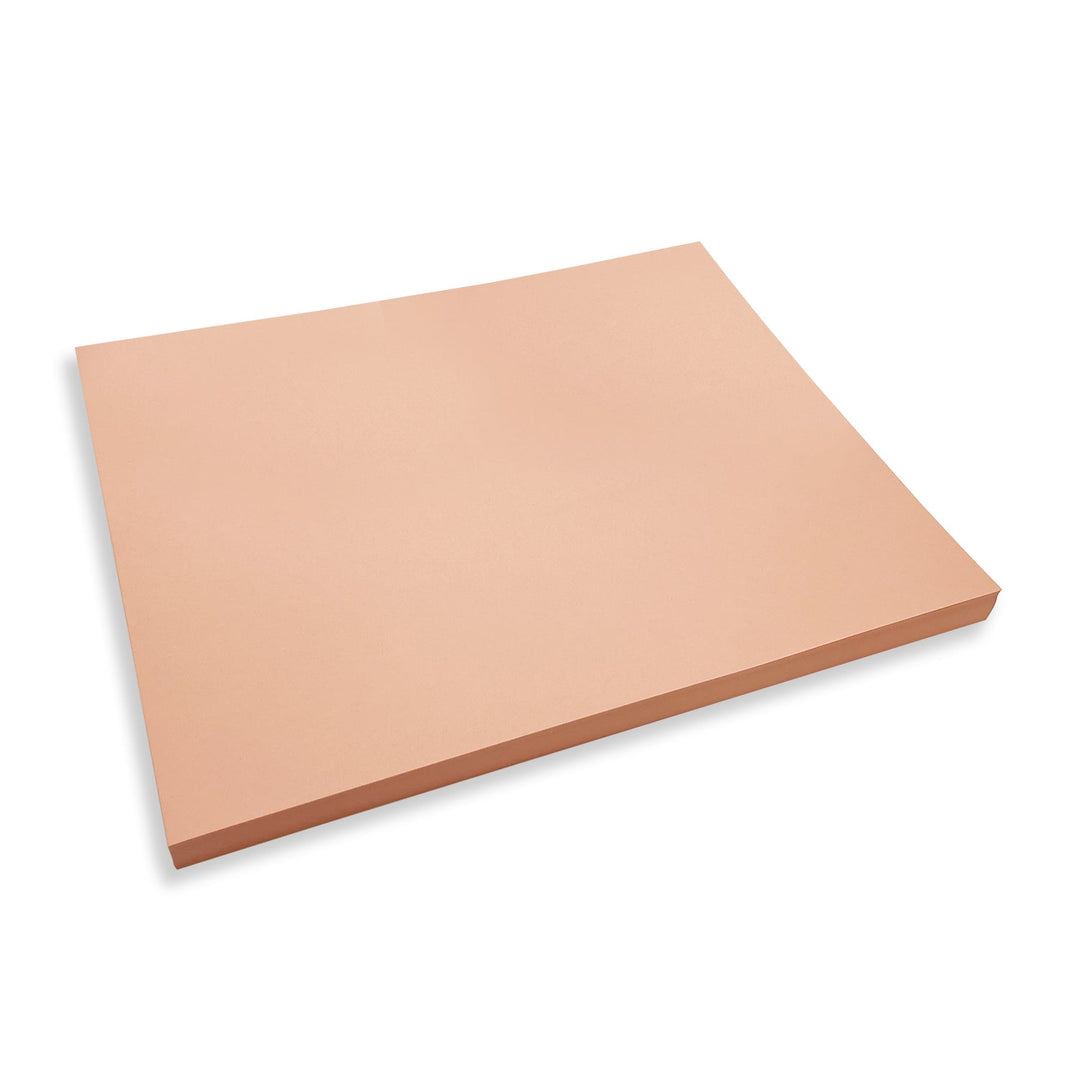 Columbia Cleanroom PA22LF - SAL17 Salmon CR Paper 22lb 11x17 1250 SHEETS/CS MTESolutions