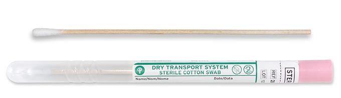 Puritan 25 - 806 1WC BT Puritan 6 inch Sterile Standard Cotton Swab w/ Wooden Handle & Tube MTESolutions